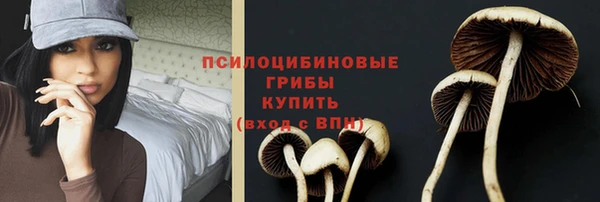 винт Корсаков