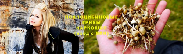 винт Корсаков